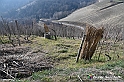 VBS_1151 - Santo Stefano Roero